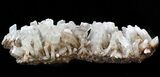 Selenite Crystal Cluster - Mexico #45194-1